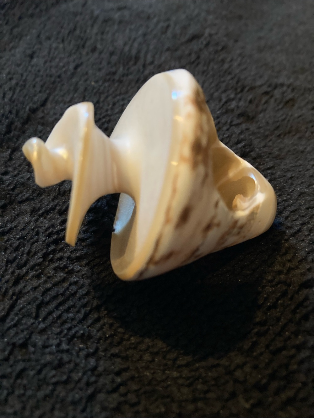 Cream and Brown Seashell ring